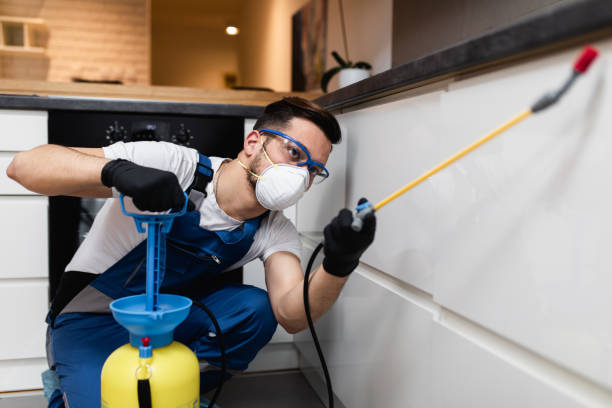 Best Commercial Pest Control Services  in Buchanan Dam, TX