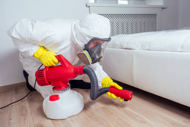 Best Best Pest Control Companies  in Buchanan Dam, TX