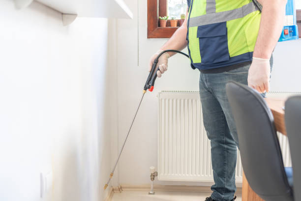 Best Pest Prevention Services  in Buchanan Dam, TX