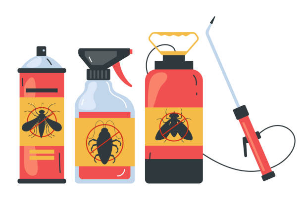 Best Termite Control Services  in Buchanan Dam, TX