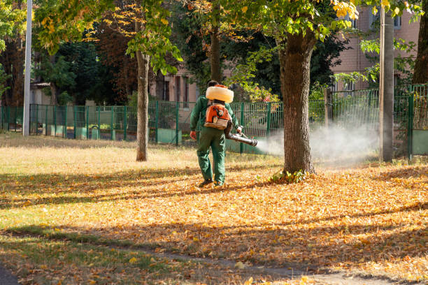Best Affordable Pest Control Services  in Buchanan Dam, TX