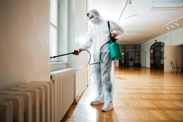 Best Emergency Pest Control  in Buchanan Dam, TX