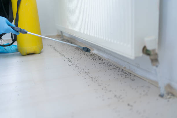 Best Pest Inspection Near Me  in Buchanan Dam, TX
